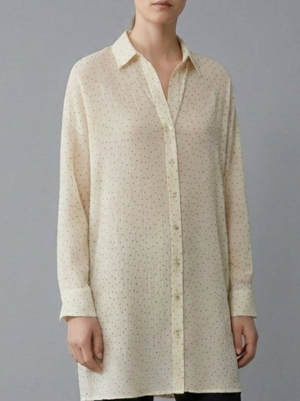 Zara Oversized Sheer Polka Dot Tunic Blouse